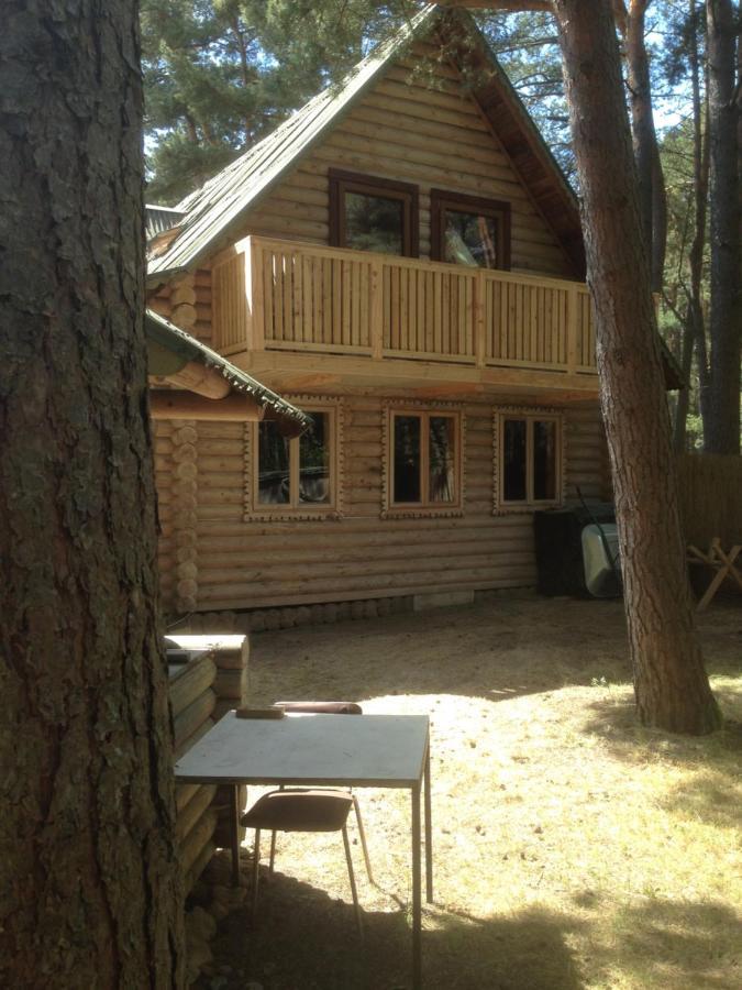 Edmundas Palanga Exterior photo